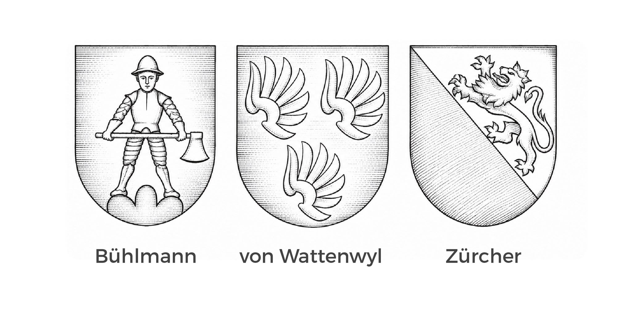 Bühlmann & Zürcher Logo