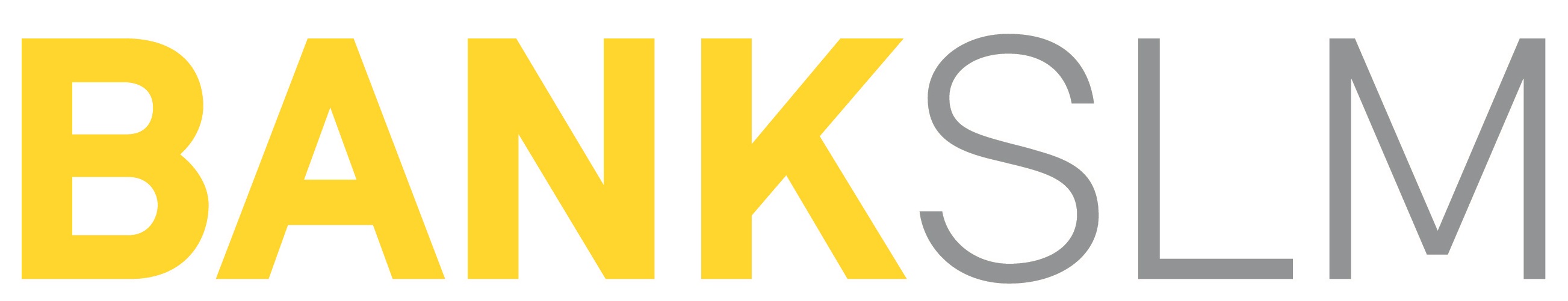 SLM Logo